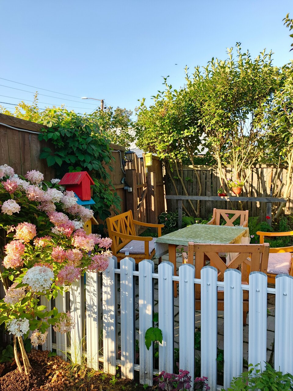 Гостевой дом Чибис Плес-30