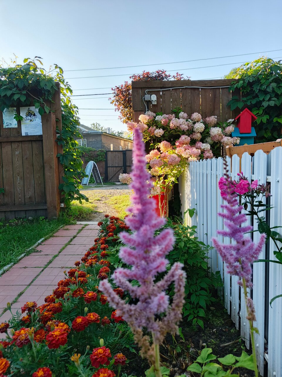 Гостевой дом Чибис Плес-11