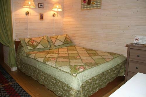 Гостевой дом Чибис Плес-31