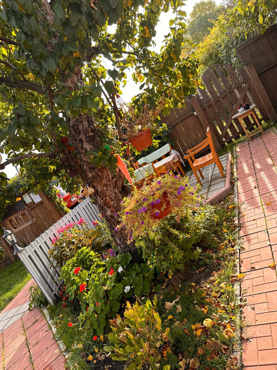 Гостевой дом Чибис Плес-52