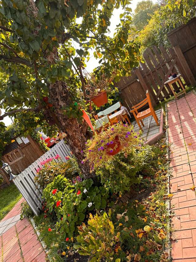 Гостевой дом Чибис Плес-51