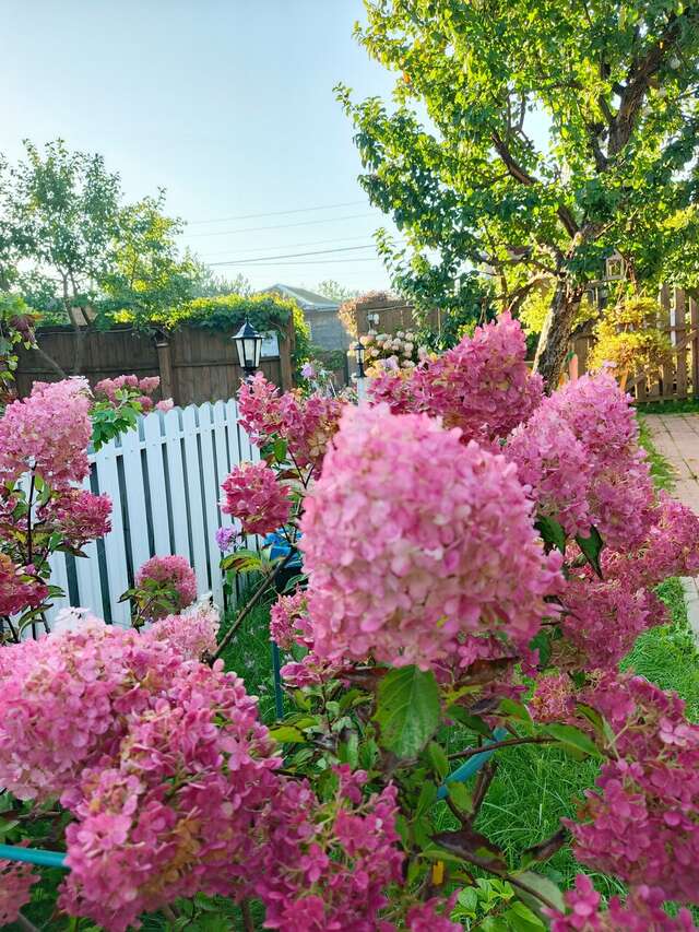 Гостевой дом Чибис Плес-16